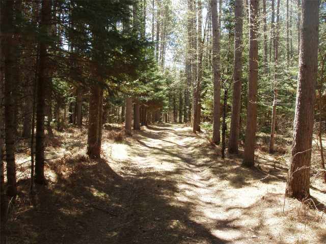 Glidden Residential Real Estate