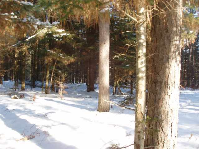 Glidden Residential Real Estate