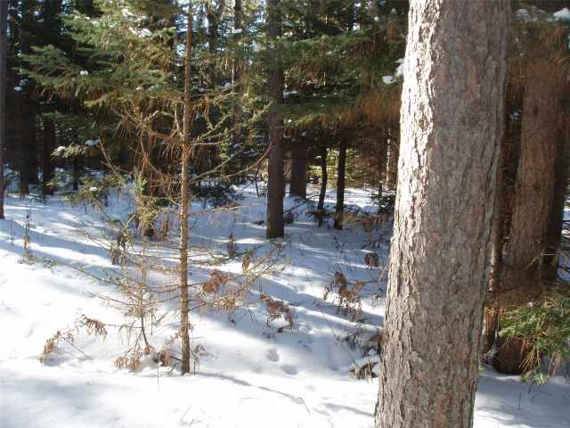 Glidden Residential Real Estate