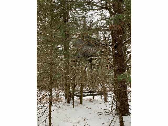 Glidden Residential Real Estate