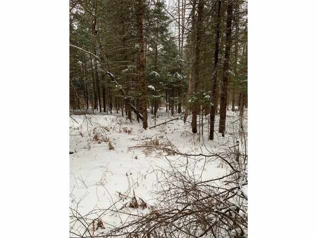 Glidden Residential Real Estate