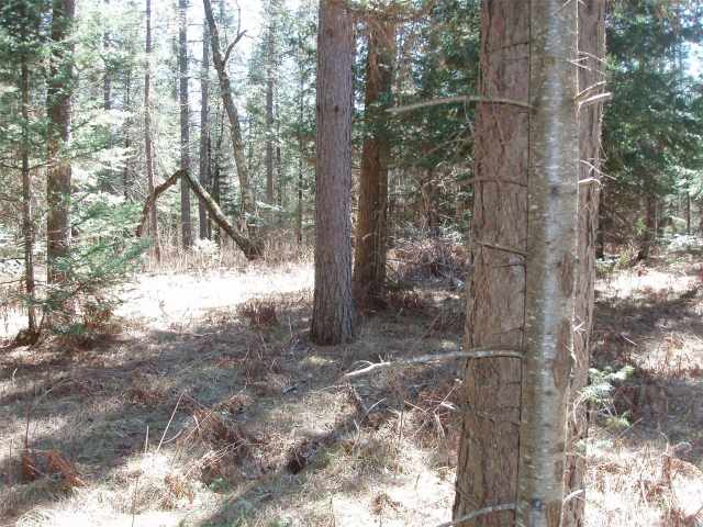 Glidden Residential Real Estate