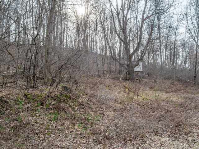 Menomonie Residential Real Estate