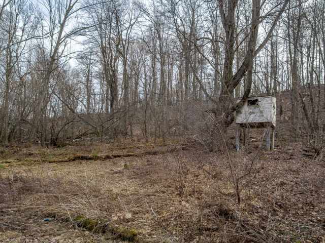 Menomonie Residential Real Estate