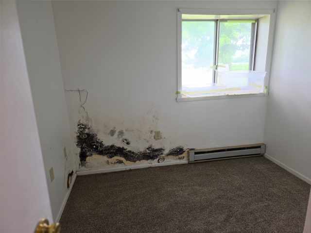 Downing Multi-Family Real Estate