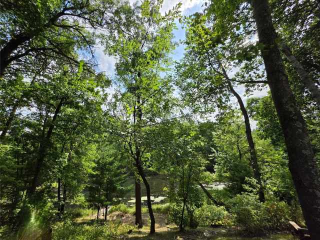 Webster Residential Real Estate