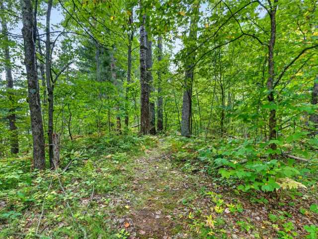 Webster Residential Real Estate