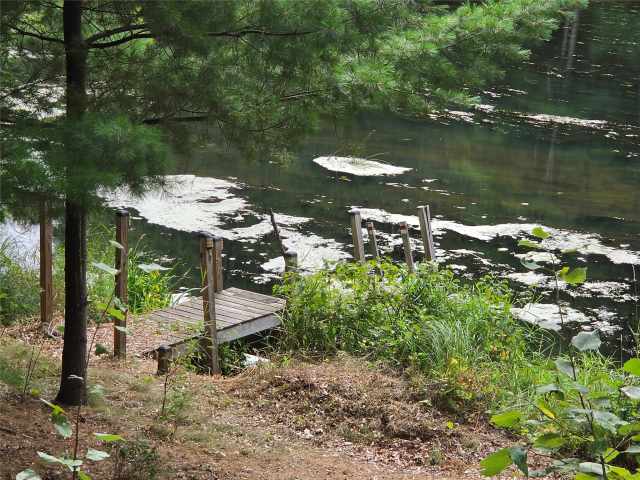 Webster Residential Real Estate