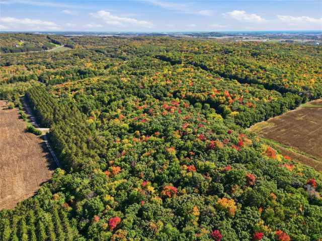 Elk Mound Residential Real Estate