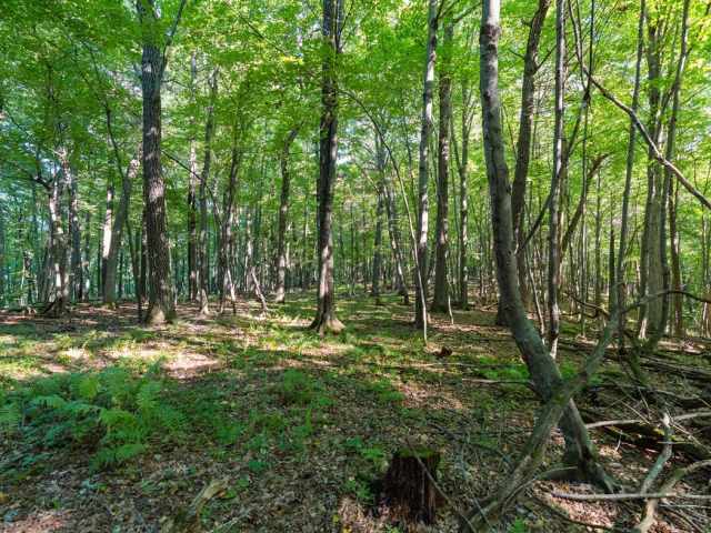Menomonie Land Real Estate