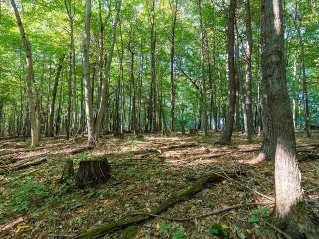 Menomonie Land Real Estate