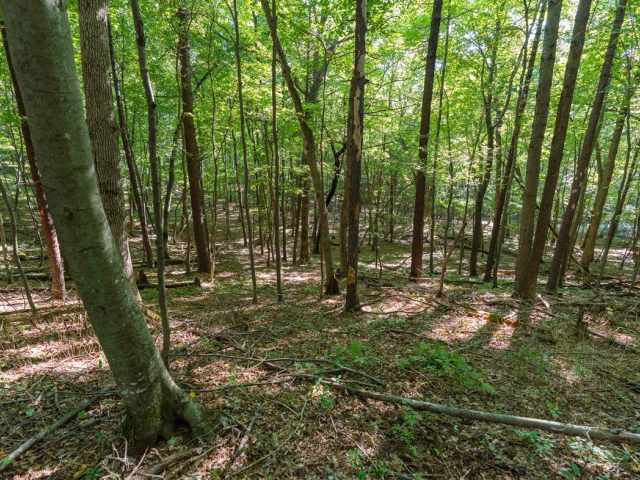 Menomonie Land Real Estate
