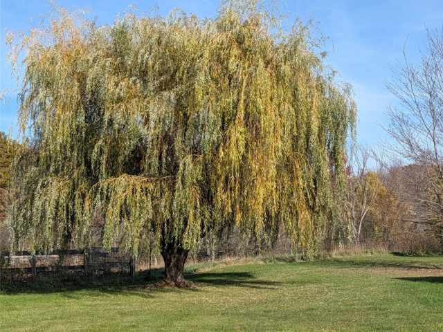 Elk Mound Residential Real Estate
