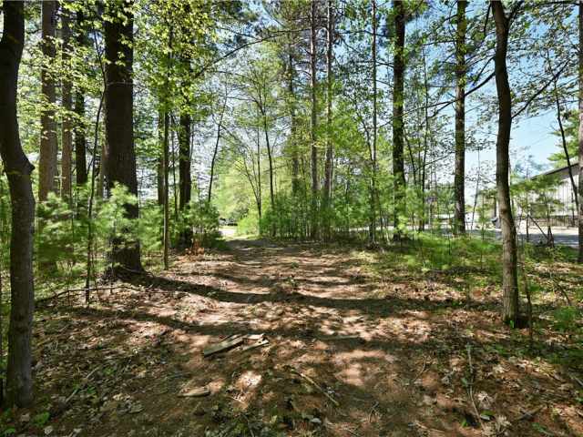 Webster Residential Real Estate