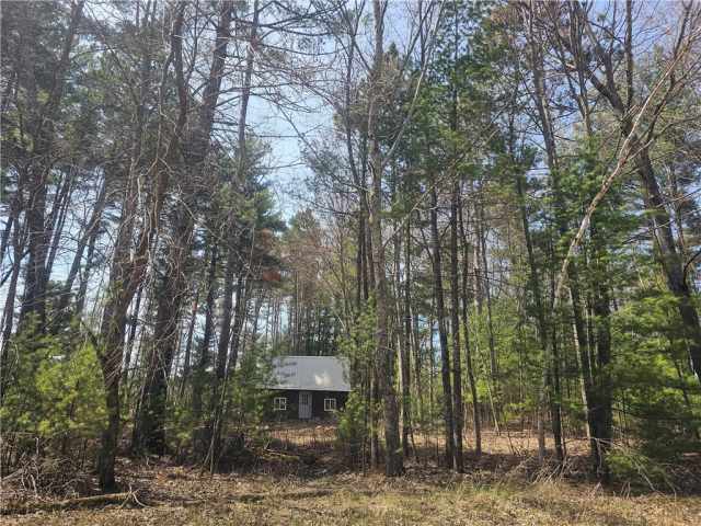 Webster Residential Real Estate
