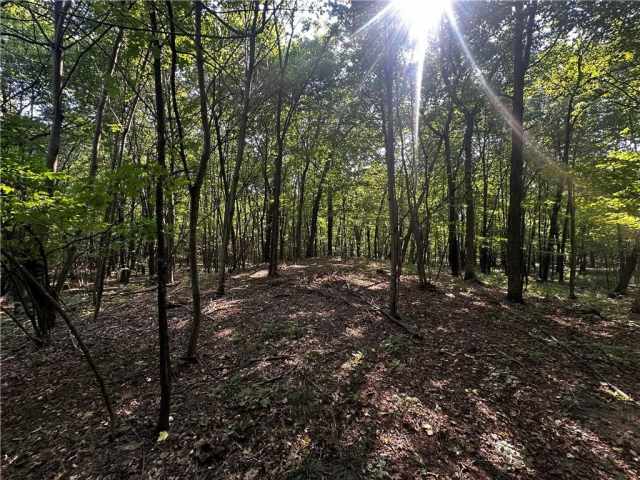 Elk Mound Land Real Estate