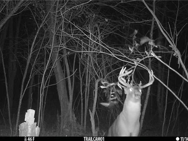 Elk Mound Land Real Estate