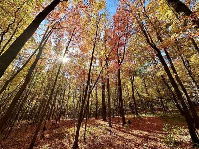 Elk Mound Land Real Estate