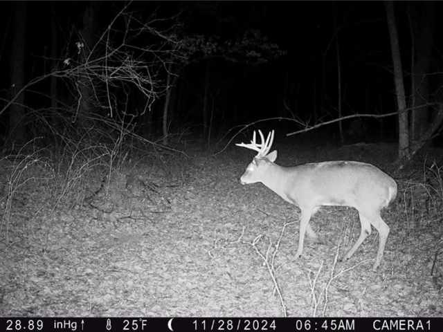 Elk Mound Land Real Estate