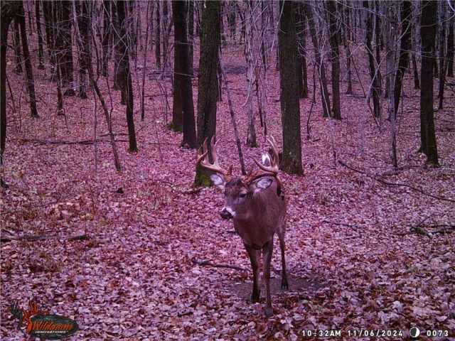 Elk Mound Land Real Estate