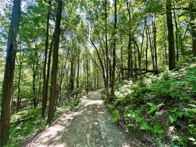 Elk Mound Land Real Estate