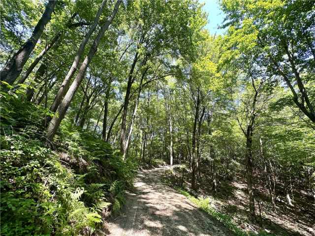 Elk Mound Land Real Estate