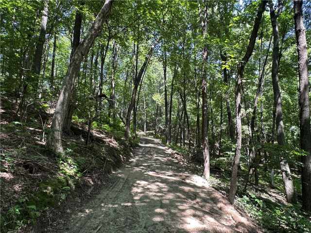 Elk Mound Land Real Estate