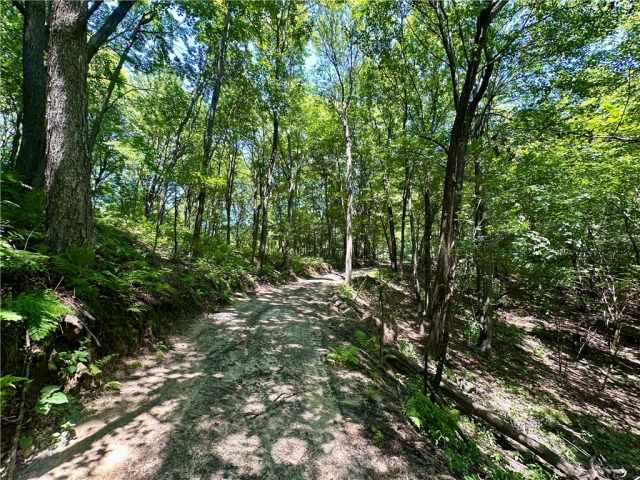 Elk Mound Land Real Estate
