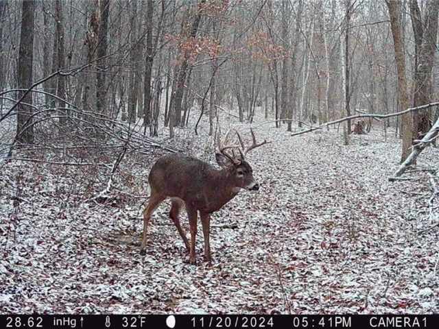 Elk Mound Land Real Estate
