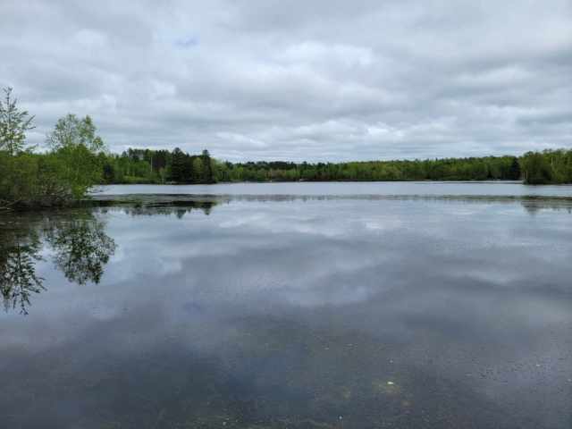 Loretta Residential Real Estate