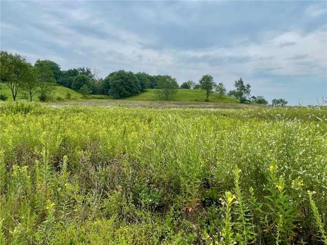 Boyceville Residential Real Estate