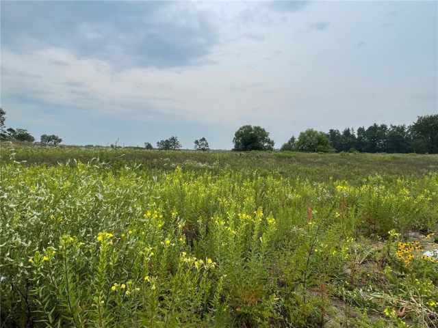 Boyceville Residential Real Estate