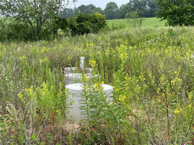 Boyceville Residential Real Estate