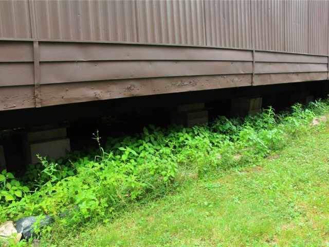 Pittsville Residential Real Estate