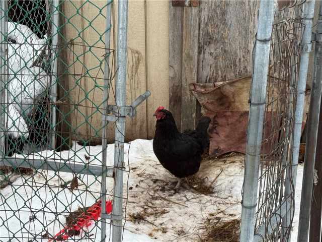 Colfax Residential Real Estate