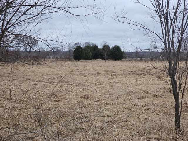 Boyceville Land Real Estate