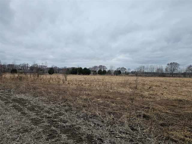 Boyceville Land Real Estate