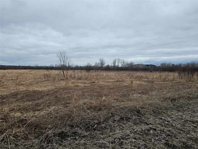 Boyceville Land Real Estate