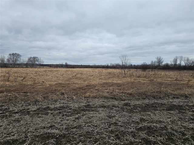 Boyceville Land Real Estate