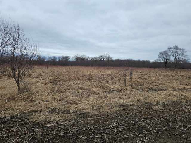 Boyceville Land Real Estate