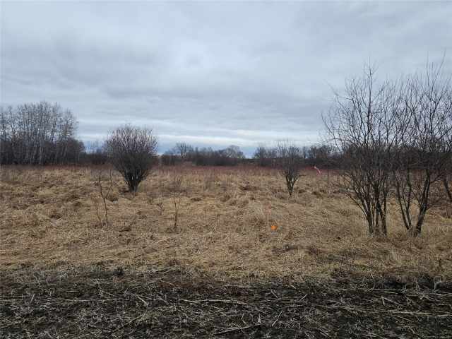 Boyceville Land Real Estate