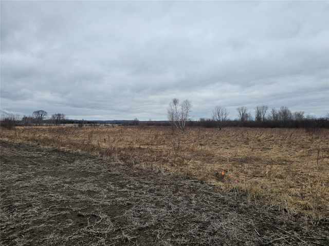 Boyceville Land Real Estate