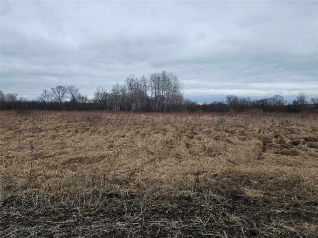 Boyceville Land Real Estate