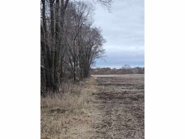 Boyceville Land Real Estate