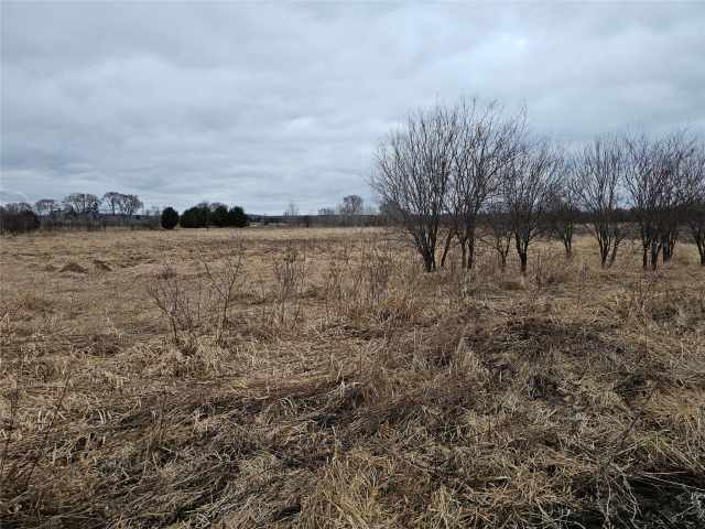 Boyceville Land Real Estate