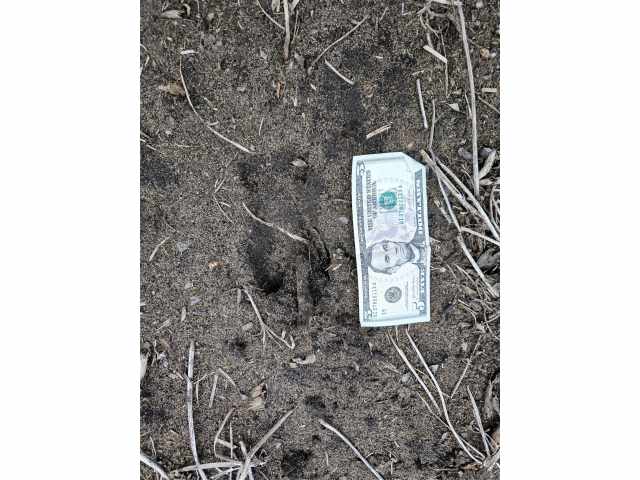 Boyceville Land Real Estate