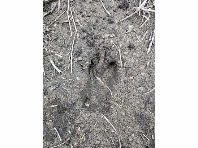 Boyceville Land Real Estate