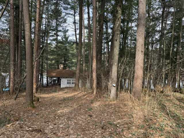 Cameron Residential Real Estate