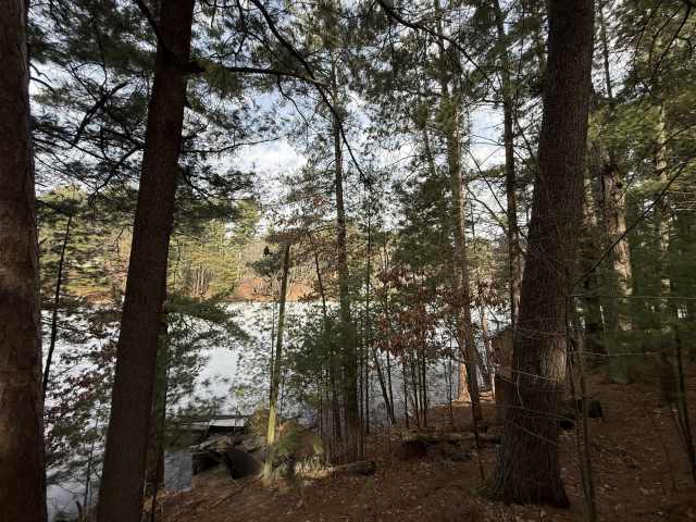 Cameron Residential Real Estate