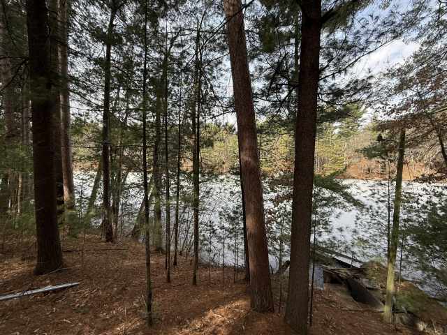 Cameron Residential Real Estate